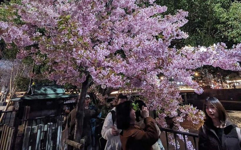 Kyoto: Personalize, private walking Tours (3h, 5h, 8h) - Walking through Higashiyama beyond the temple gates