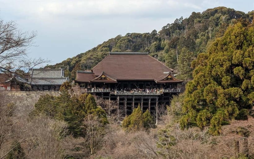 Kyoto: Personalize, private walking Tours (3h, 5h, 8h) - The value of a private guide at $77