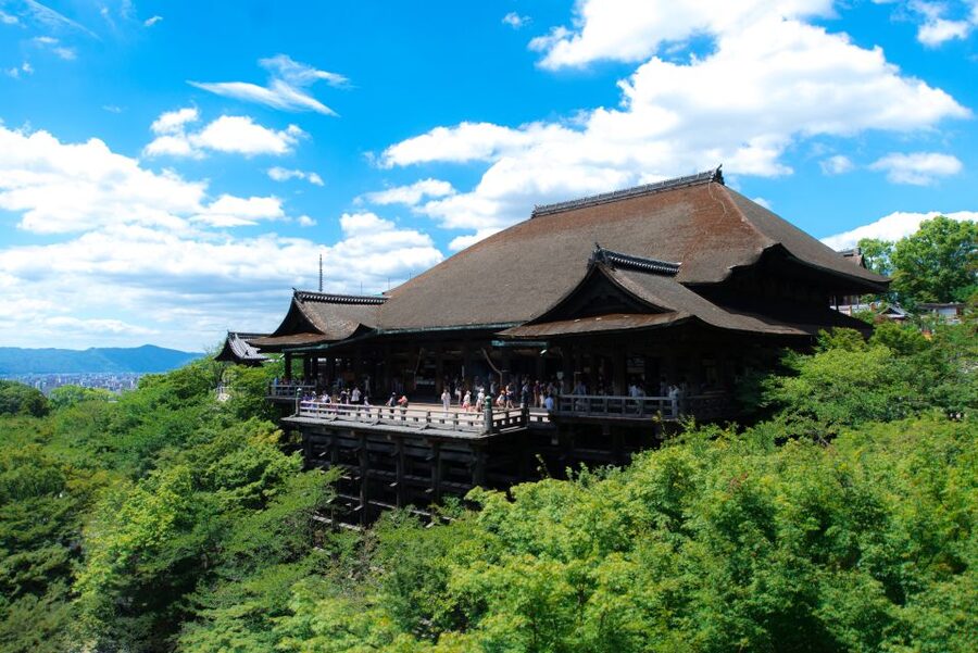 Kyoto: Personalized Guided Private Tour - Should you book the Kyoto private tour?
