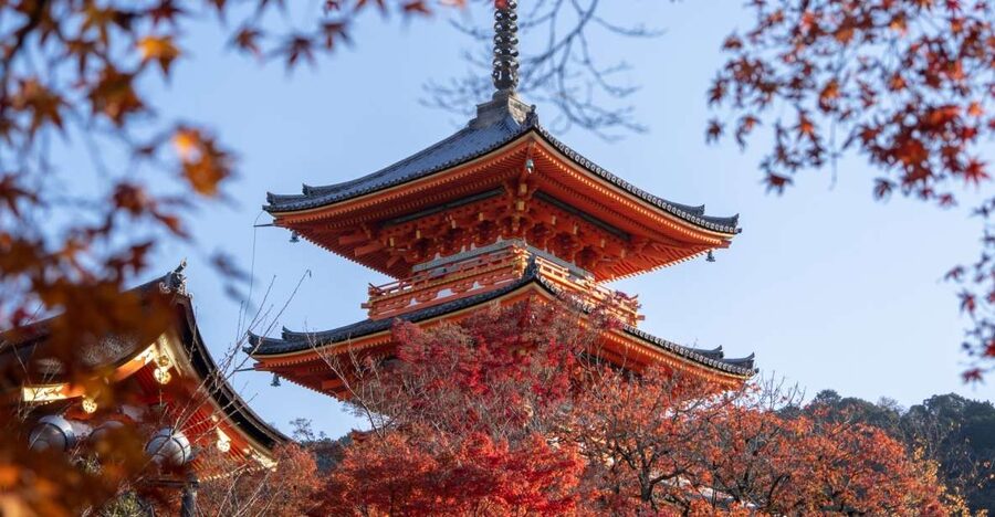 Kyoto: Personalized Guided Private Tour - Why a private Kyoto day can make sense