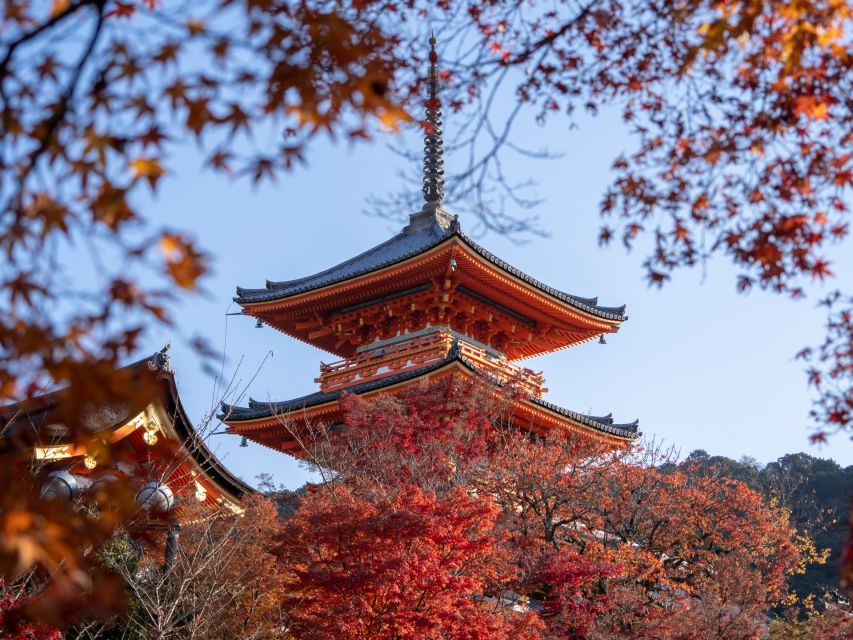 Kyoto: Personalized Guided Private Tour - Kiyomizu-dera and Kyoto from the hillside