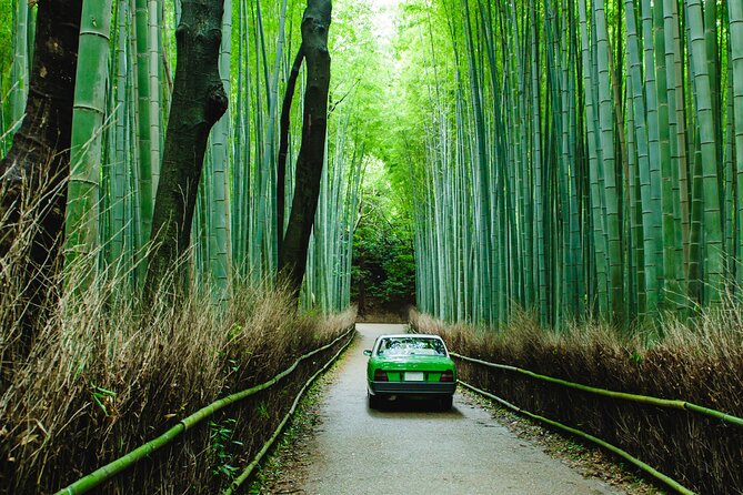 Kyoto Private 6 hour Tour: English Speaking Driver Only, No Guide - Key points to know before booking