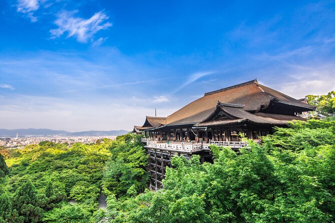 Kyoto Private 6 hour Tour: English Speaking Driver Only, No Guide - Tenryu-ji and the Arashiyama Bamboo Grove