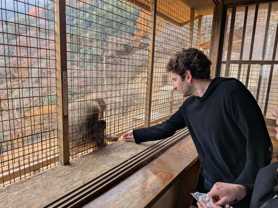 Kyoto: Private Customizable Day Trip by Car - A driver, not a walking guide