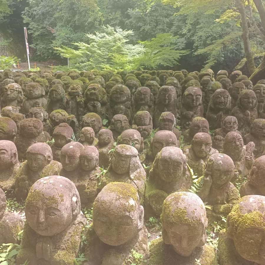 Kyoto: Private Customizable Day Trip by Car - Group size, bags, and cancellation