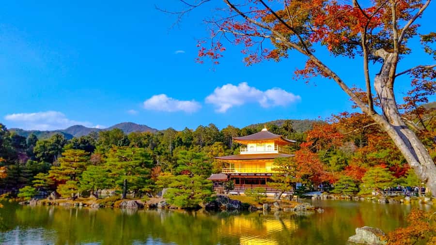 Kyoto: Private Customizable Day Trip by Car - Starting from Osaka or Kyoto