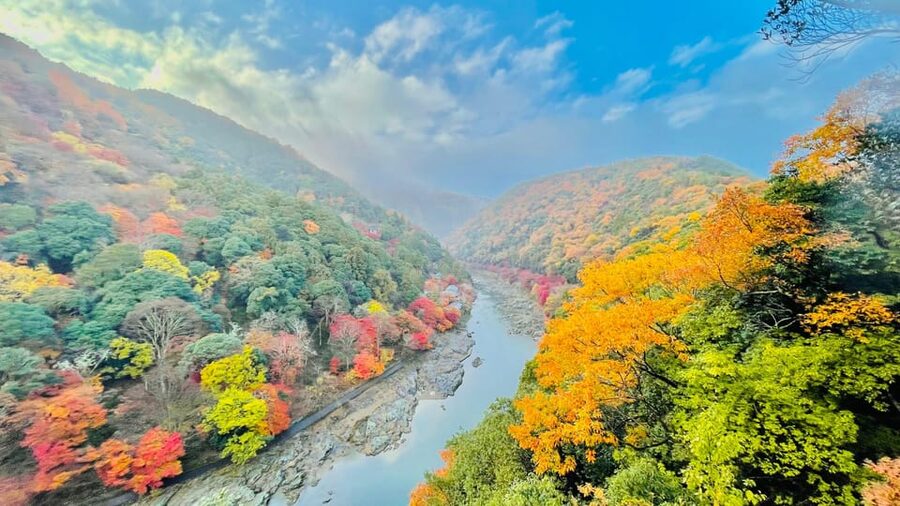 Kyoto: Private Customizable Guided tour with Luxury Vehicle - A fast, private way to cross Kyoto