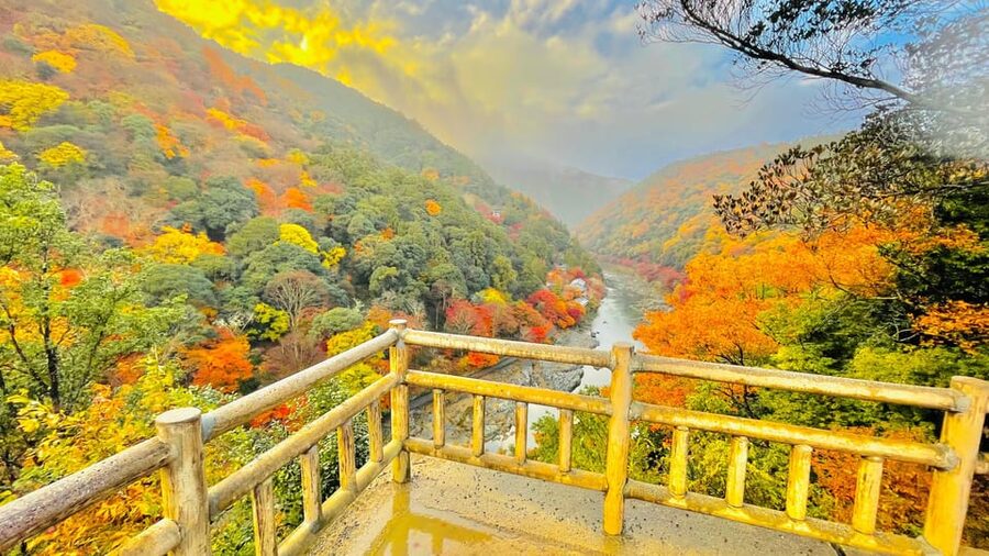 Kyoto: Private Customizable Guided tour with Luxury Vehicle - Arashiyama Bamboo Forest starts the western circuit