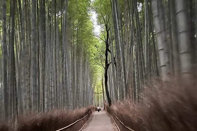 Kyoto Private Customizable Sightseeing Tour by Car-up to 9 people - Kinkakuji, the Golden Pavilion