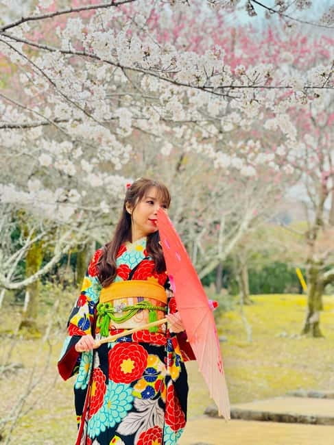 Kyoto: Private Customized Tour With English Speaking Guide - Gion’s wooden lanes and Kyoto after dark atmosphere