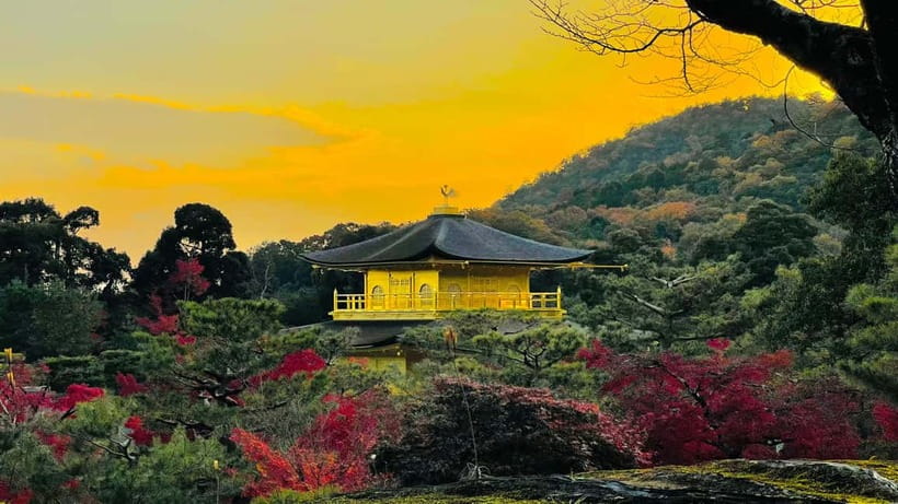Kyoto: Private Customized Tour With English Speaking Guide - Fushimi Inari’s red gates