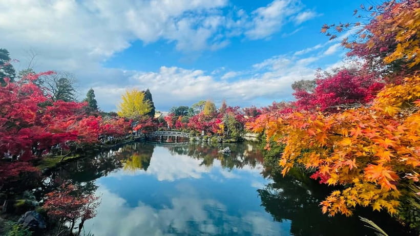 Kyoto: Private Customized Tour With English Speaking Guide - What the guide adds to the day