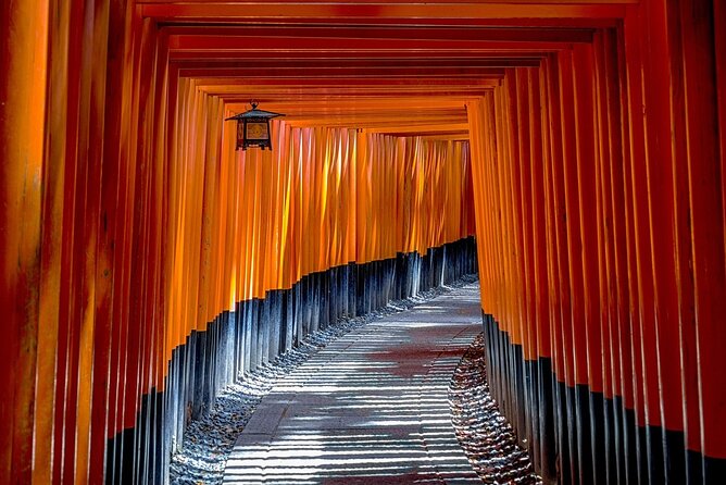 Kyoto: Private Flexible 3 hours tour with a local guide - What the guide adds beyond directions