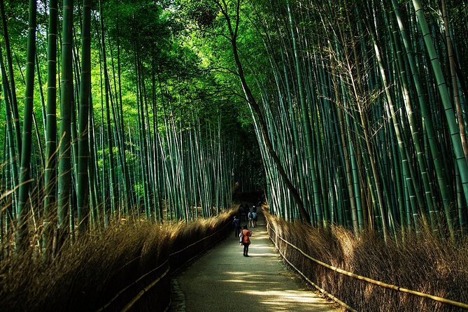 Kyoto: Private Flexible 3 hours tour with a local guide - Is $131.38 per person a fair price?