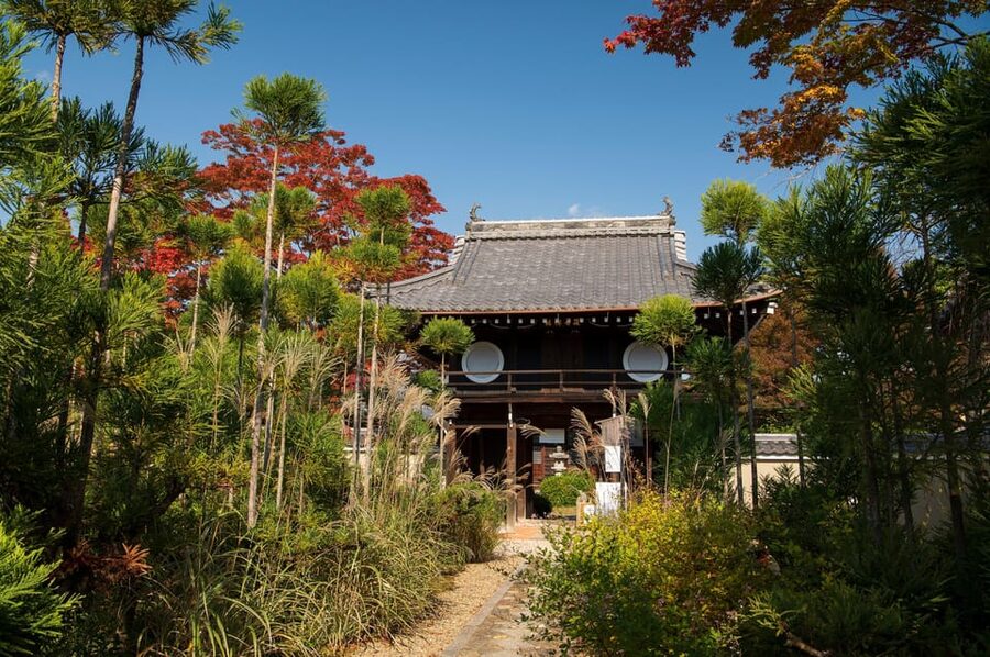 Kyoto: Private Full-Day Customizable World Heritage Tour - Hokan-ji, Sannenzaka, and Ninenzaka