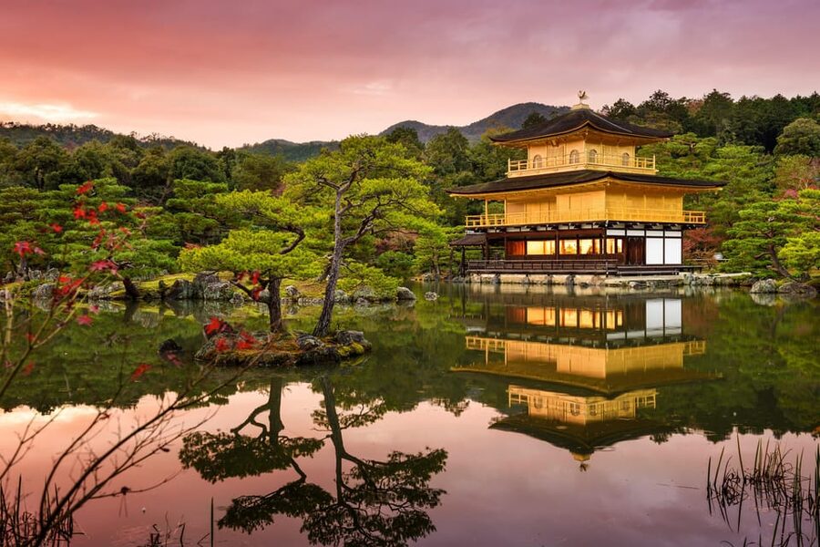 Kyoto: Private Full-Day Customizable World Heritage Tour - Other possible choices, including Nijo Castle and Toji
