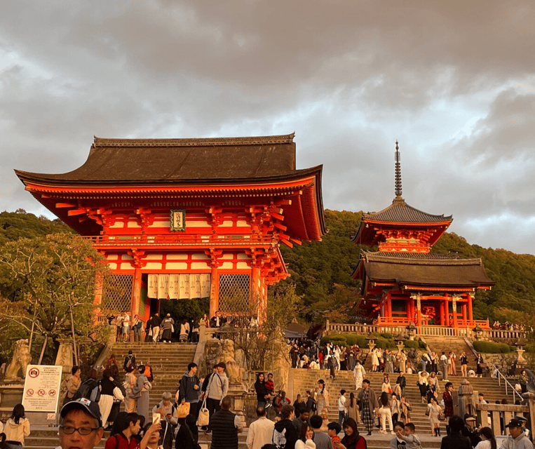 Kyoto: Private Highlights Tour with Guide and Luxury Vehicle - Starting from Kyoto, Osaka, or Nara