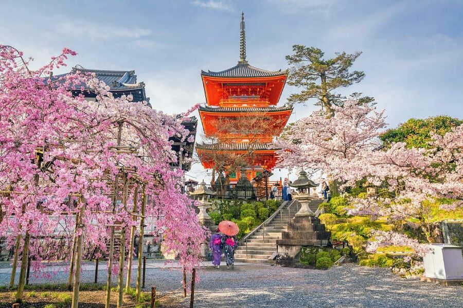 Kyoto: Private Highlights Tour with Guide and Luxury Vehicle - Fushimi Inari brings the day under thousands of red gates