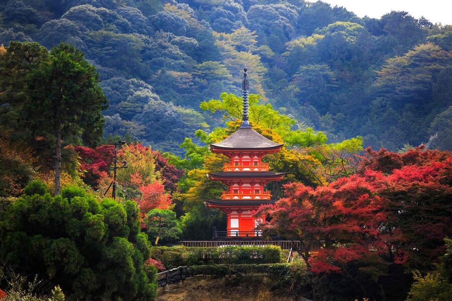 Kyoto: Private Highlights Tour with Guide and Luxury Vehicle - Ginkaku-ji offers a quieter eastern Kyoto contrast