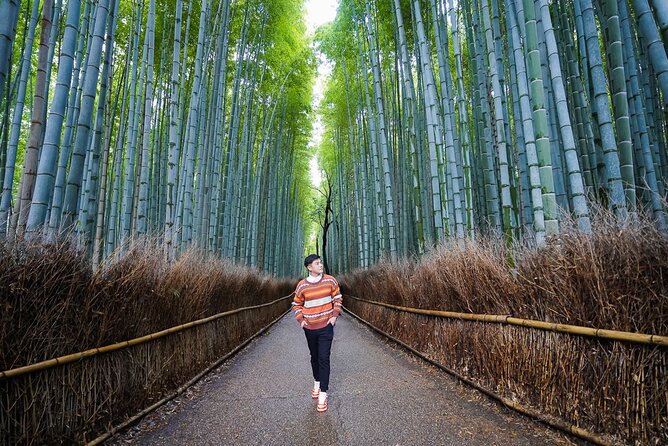 Kyoto Private Photo Shoot & Tour by SnapKyoto - Gion and Maruyama Park for classic Kyoto portraits