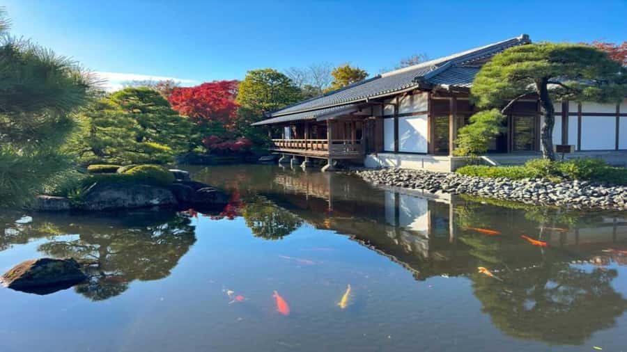 Kyoto:Private Tour/Luxury Vehicle with Guide & photographer - Fushimi Inari and its famous red gates