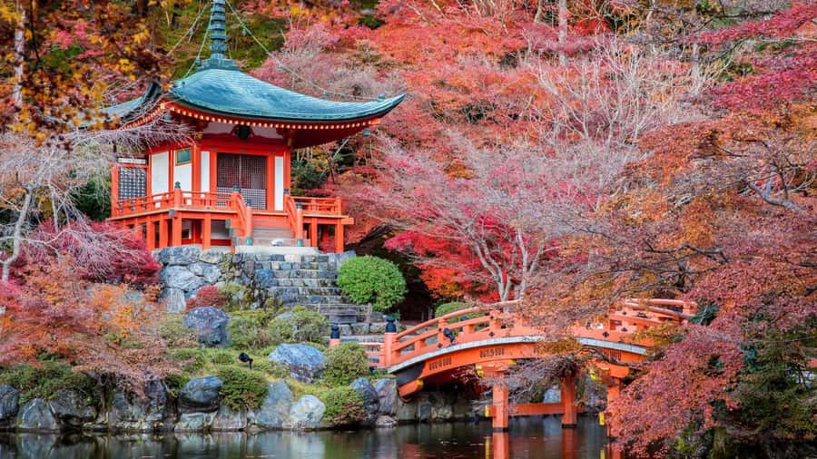 Kyoto:Private Tour/Luxury Vehicle with Guide & photographer - The $407 group price and what it really covers