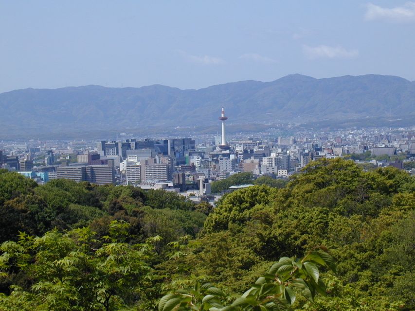 Kyoto: Private Tour with Local Licensed Guide - Fushimi Inari and the red torii path