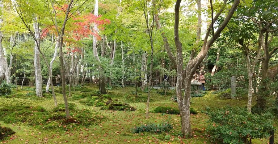 Kyoto:Quiet Arashiyama and Sagano Temples - Why this Arashiyama walk feels different