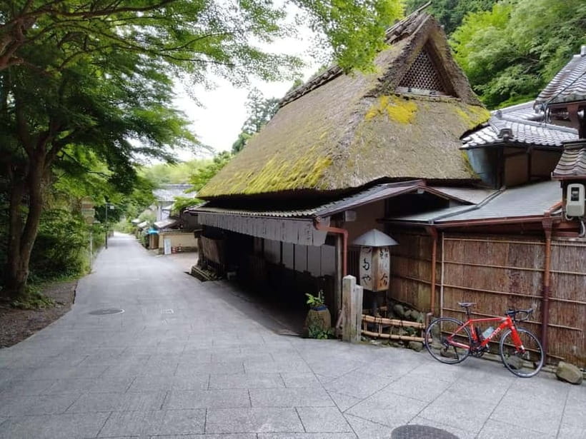 Kyoto:Quiet Arashiyama and Sagano Temples - Walking through the Sagano Bamboo Grove