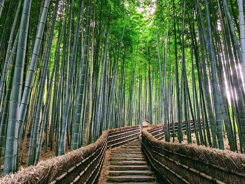 Kyoto:Quiet Arashiyama and Sagano Temples - How much walking and preparation you need