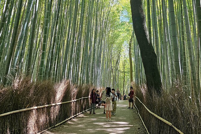 Kyoto's Arashiyama Bamboo Grove: 3-Hour Guided Tour - Key points to know before booking
