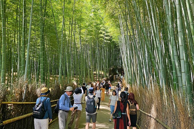 Kyoto's Arashiyama Bamboo Grove: 3-Hour Guided Tour - What $28 really gets you