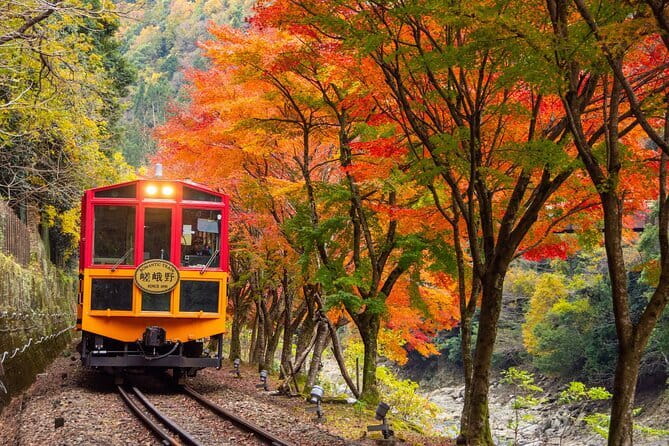 Kyoto Sagano Romantic Train in Arashiyama Bus Tour - Hozu River boat ride: the day’s strongest experience
