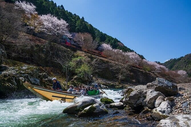 Kyoto Sagano Romantic Train in Arashiyama Bus Tour - Kyoto-style buffet lunch