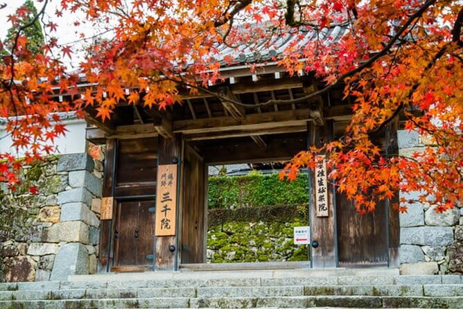 Kyoto Sansen-in Arashiyama Train 1 Day Tour from Osaka or Kyoto - Key points at a glance