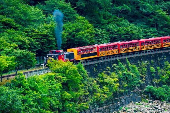 Kyoto Sansen-in Arashiyama Train 1 Day Tour from Osaka or Kyoto - Arashiyama in three hours