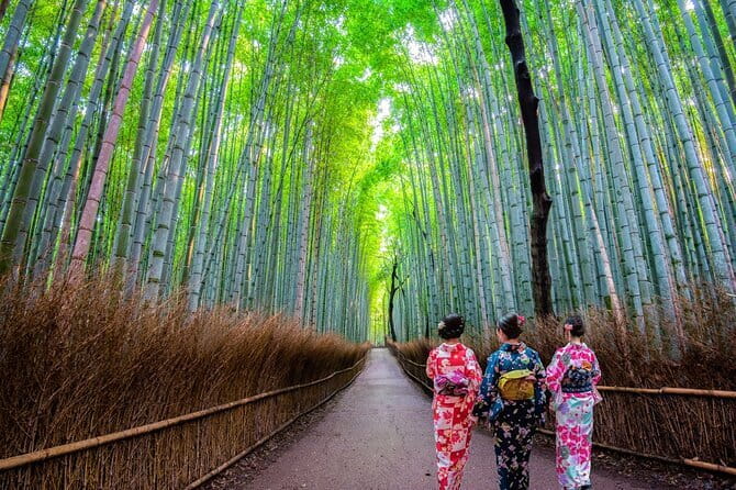 Kyoto Sansen-in Arashiyama Train 1 Day Tour from Osaka or Kyoto - Who will find this day useful