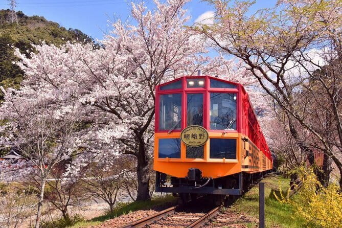 Kyoto Sansen-in Arashiyama Train 1 Day Tour from Osaka or Kyoto - The long ride to Arashiyama