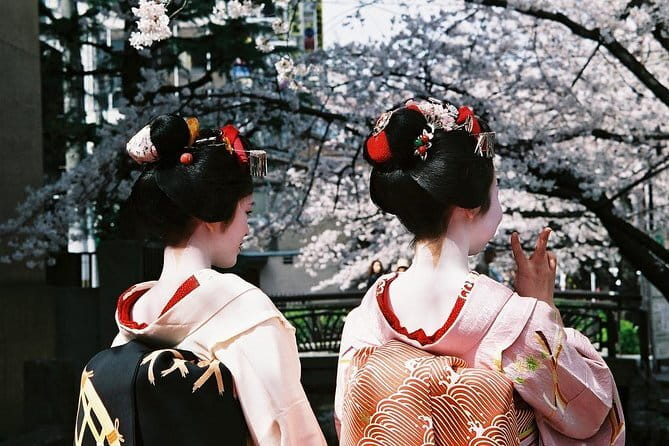 Kyoto Spring Evening (Cherry Blossom) Food Tour - Key Points Before You Book