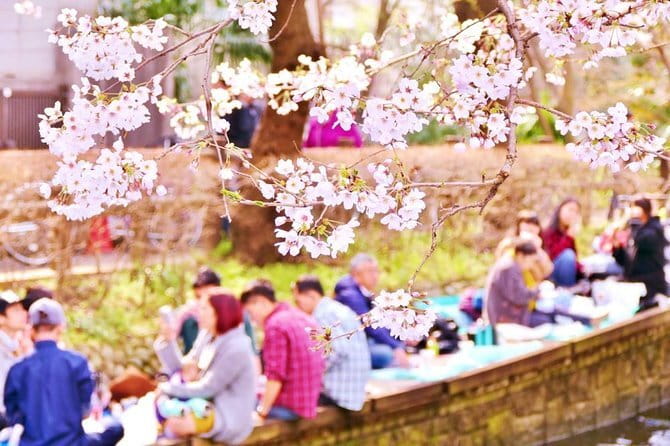 Kyoto Spring Evening (Cherry Blossom) Food Tour - Kyoto Imperial Palace and Botanical Gardens