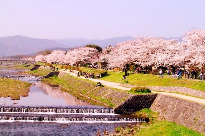 Kyoto Spring Evening (Cherry Blossom) Food Tour - Demachiyanagi Shopping Street and Local Flavors
