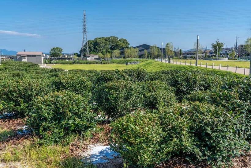 Kyoto: Tea Museum Tickets and Matcha Grinding Experience - Who will enjoy this experience most?