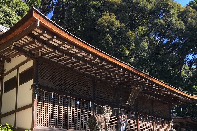 Kyoto tea town for matcha lovers - Tea fields and the part most tea fans want to understand