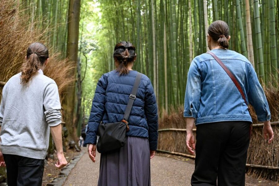 Kyoto to Arashiyama Day Trip - Private & Personalized - Key points to know before booking