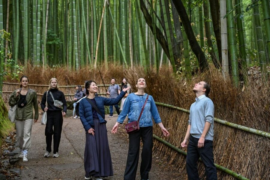 Kyoto to Arashiyama Day Trip - Private & Personalized - Tenryu-ji and its old garden