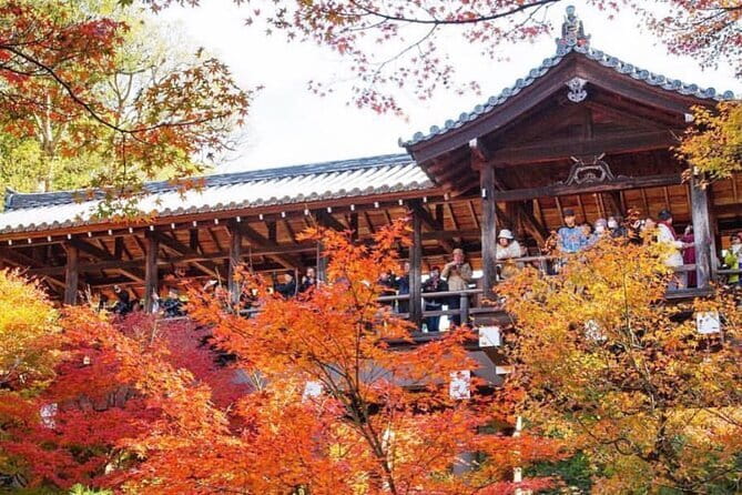 Kyoto tour 12 hours Private Nagoya pick up available - Nishiki Market for food and browsing