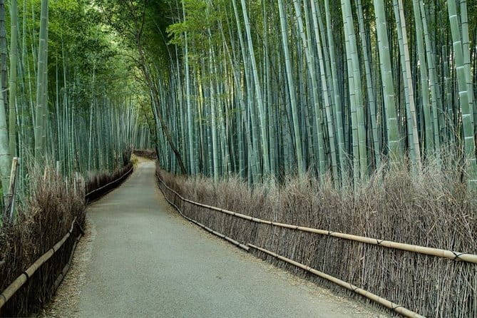Kyoto Tour by Car from Kyoto Osaka Kobe - Tenryu-ji and the bamboo forest area