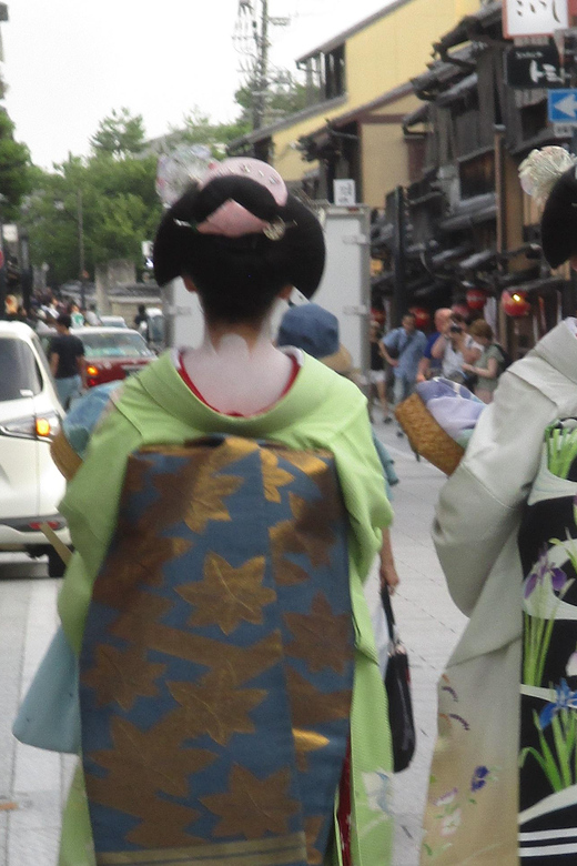 KYOTO: Tour guidato tra i tesori della città (in italiano) - Gion and Kyoto’s Traditional Arts