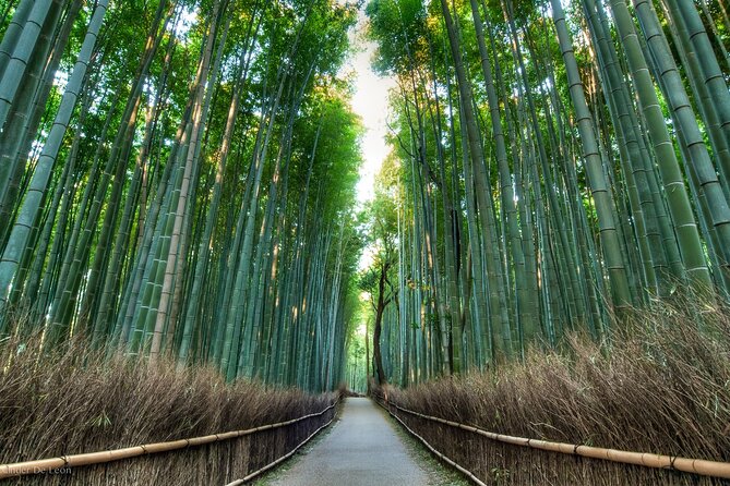 Kyoto tour with English Speaking Chauffeur - Nishiki Market adds taste and texture