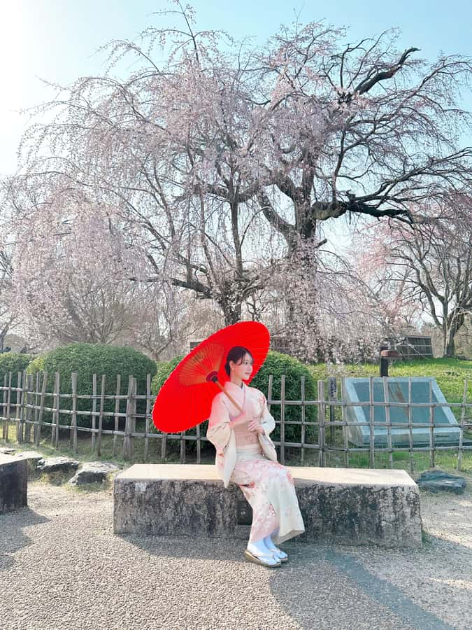Kyoto: Traditional Kimono Rental with Seasonal Kimono - The staff make the process work